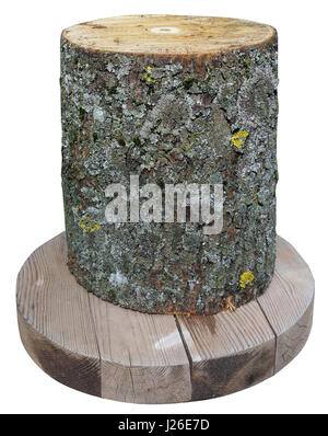 The aspen log vertically is installed on the round wooden pallet Stock Photo