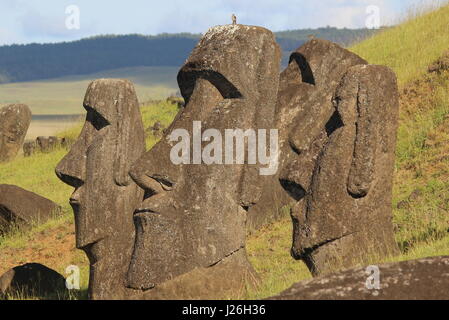 Four heads of Maoi on Easter Island Stock Photo