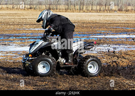 Spring time quading through the mud Stock Photo