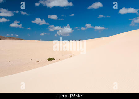 View of the famous Corralejo sand dunes in Fuerteventura, Spain with blue sky. Stock Photo