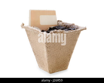 Small peat pot filled by soil with blank label. Copy space on the label. Isolated on white, clipping path included Stock Photo