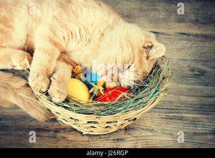 Little ginger kitten sleeping on the basket with colored eggs on grunge wooden table. Easter concept scene. Retro color Stock Photo