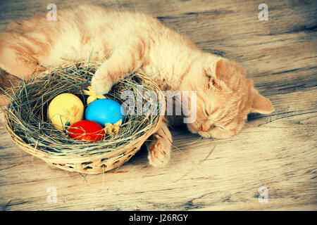 Little ginger kitten sleeping on the basket with colored eggs on grunge wooden table. Easter concept scene. Retro color Stock Photo