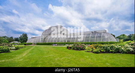 Great Britain, England, Kew Gardens in the London Borough of Richmond upon Thames, Rose Garden and Palm House Stock Photo