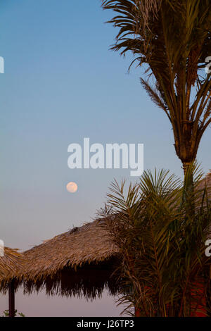 Full moon rises over straw shed, by the Amazon river, in Alter do Chao, Brazil. Stock Photo