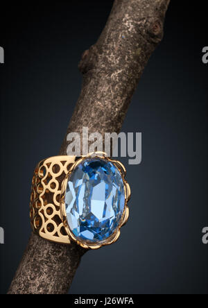 Jewelery ring with big gem on twig Stock Photo