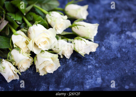 Fresh white roses flowers on blue painted wooden background, selective focus, place for text Stock Photo