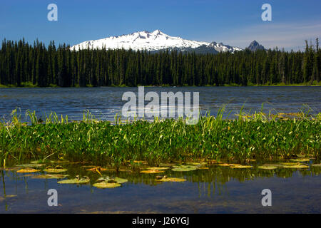 Gold Lake with Diamond Peak, Willamette National Forest, Oregon Stock Photo