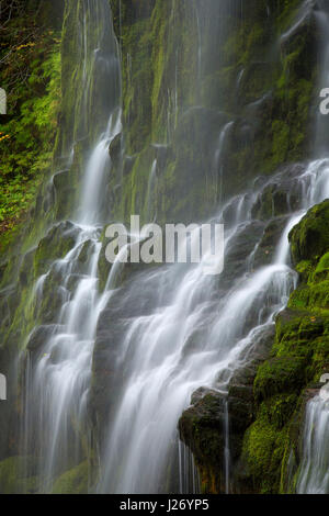 Lower Proxy Falls along Proxy Falls Trail, Three Sisters Wilderness, Willamette National Forest, Oregon