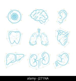 Set of futuristic outline icons of human organs isolated on white Stock Vector