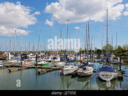 Boats moored in Tollesbury Marina, Essex, England UK Stock Photo