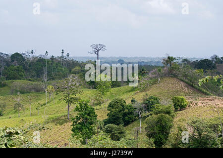 Agricultural land cleared of forest in the Darién Panama Stock Photo