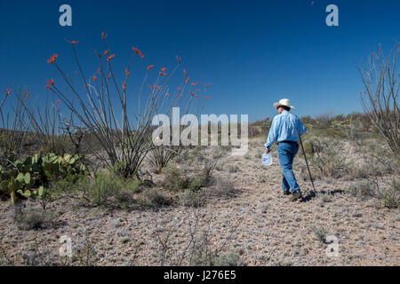 Tucson, Arizona - Pat O'Brien, a member of the Tucson Samaritans, places water in the Arizona desert. The group's aim is to prevent the deaths of some Stock Photo