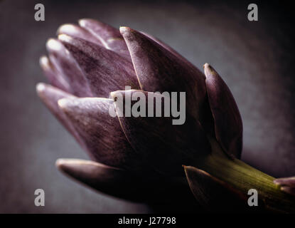 Artichoke on black background Stock Photo