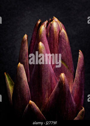 Artichoke on black background Stock Photo