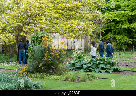 Botanic Garden, Oxford Universtity, Oxford, United Kingdom Stock Photo