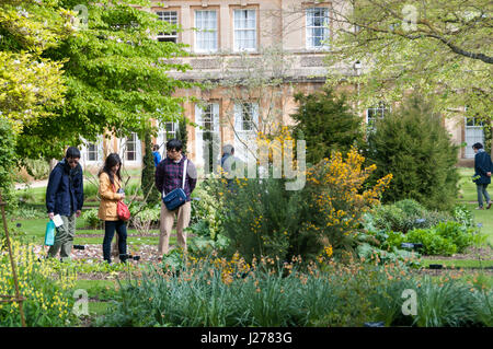 Botanic Garden, Oxford Universtity, Oxford, United Kingdom Stock Photo