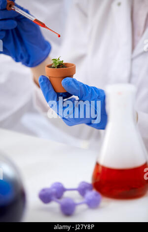genetic modified GMO plant in the laboratory Stock Photo