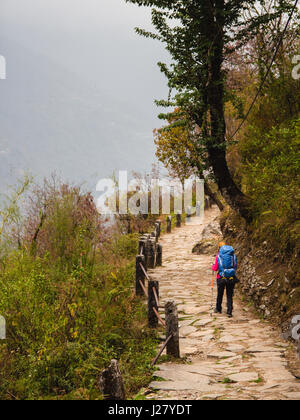 A woman with a backpack on her back walks along a path in the forest ...