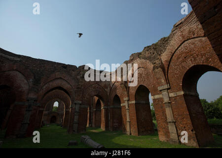 The remaining of Darasbari Mosque, the largest mosque in Bangladesh now in ruins located in Shibganj in Chapai Nawabganj, the mosque was built in 1479 Stock Photo