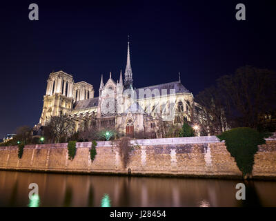 Low angle view of Notre Dame de Paris by Seine river against clear sky at night Stock Photo