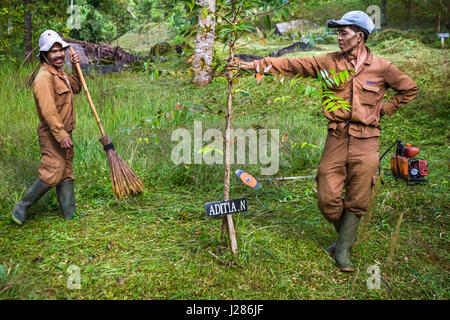 Workers pause for a pose in a reforestation area at the foot of Mount Salak, Sukabumi Regency, Indonesia. Stock Photo