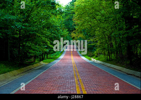 Image of a red brick road leading off into the distance thru a wooded area Stock Photo