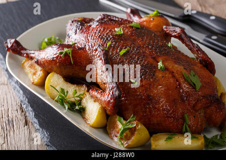 Beautiful food: baked whole duck with apples close-up on a platter on the table. horizontal Stock Photo