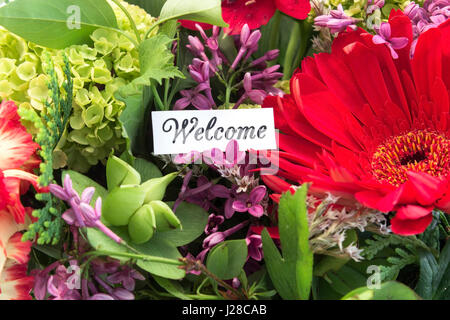 Welcome Card with Bouquet of Spring Flowers. Stock Photo