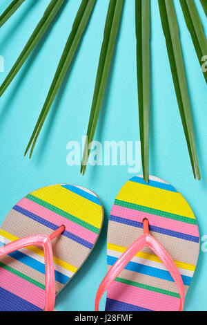 closeup of a pair of colorful striped-patterned flip-flops with pink straps and a palm leaf on a blue background Stock Photo