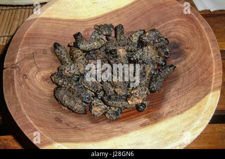 Namibia, Windhoek, Deep-fried mopane worms as traditional food, Show food in the former township of Windhoek-Katutura Stock Photo