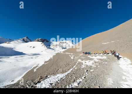 Nepal, Western Region, Tanki Manang, On the Annapurna Circuit - Day 9 - From Thorong Phedi to Muktinath - Peoples hike to Thorong-La Pass Stock Photo