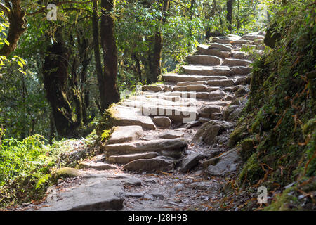 Nepal, Western Region, Ghode Pani, On the Annapurna Circuit - Day 14 - From Ghorepani to Tikhe Dhunga - steps up and down to Thikedunga Stock Photo