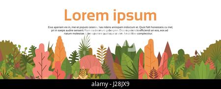 Colorful Forest Over White Copy Space Woods Banner Stock Vector