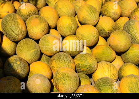 Uzbekistan, Buxoro Province, Jondor tumani, On the roadside there are many melon traders. Here the woman has the say Stock Photo