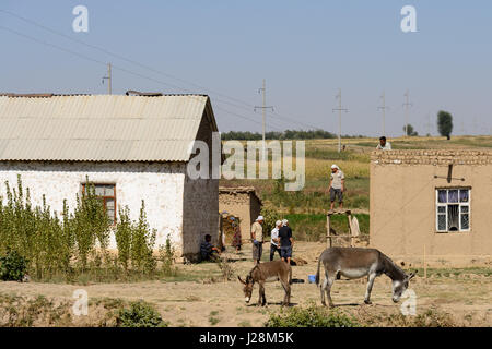Uzbekistan, Sirdarya province, Syrdarya, On the journey from Samarkand to Tienshan Stock Photo