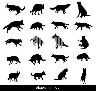 Set vector silhouettes of dogs (German shepherd dog) black color and cut out on white background Stock Vector