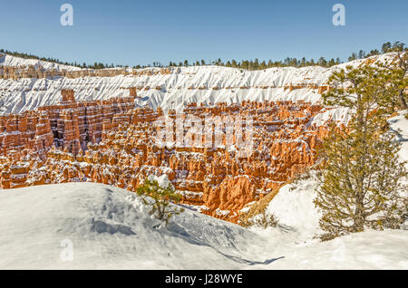 Fresh snow decorates the hoodoos in Bryce National Park and leaves a blanket around the edges of the canyon to create a beautiful scene Stock Photo