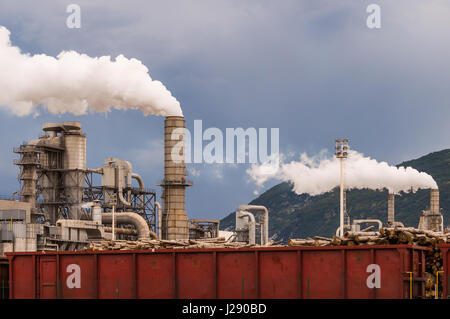 Industrial plant. Smokestacks ,storage tanks and rail wagon. Lumber industry Stock Photo