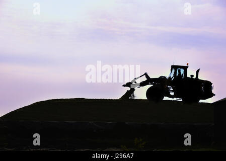 Shovel Silhouette, Wheel loader rolling a silage heap at a farm during twilight Stock Photo