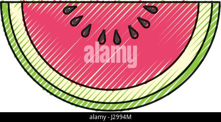 Watermelons delicious fruit Stock Vector
