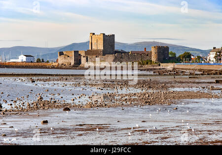 Medieval Norman Castle in Carrickfergus near Belfast, Northern Ireland, and Belfast Lough during a low tide