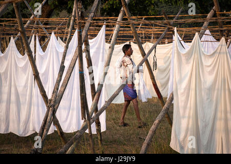 Drying clothes in Kochi municipal laundry Stock Photo