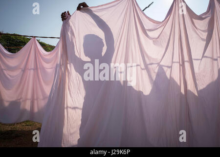 Drying clothes in Kochi municipal laundry Stock Photo