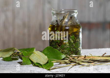 Balsam-Pappel, Balsampappel, Rinde, Borke und Blätter werden in Öl eingelegt, Balsampappelöl, Populus spec., balsam poplar, bark, rind and leaf, leave Stock Photo