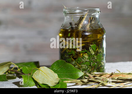 Balsam-Pappel, Balsampappel, Rinde, Borke und Blätter werden in Öl eingelegt, Balsampappelöl, Populus spec., balsam poplar, bark, rind and leaf, leave Stock Photo