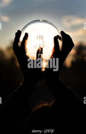 sunshine light bulb Stock Photo