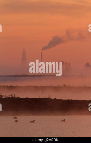 church and brickworks Rhenen at the first dawn Stock Photo