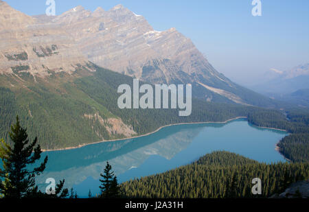 View on the blue water of Peyto Lake in Banff National Park Stock Photo