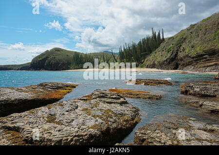 Coastline of New Caledonia landscape, beach and rocks with Araucaria pines, Turtle bay, Bourail, Grande Terre island, south Pacific Stock Photo